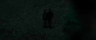 Harry Potter and the Deathly Hallows Part 1 2010 1080p 10bit BluRay