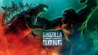 Godzilla vs Kong 2021 720p 10bit Bluray x265 HEVC Org Hindi BD 5