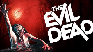 The Evil Dead (1981) Dual Audio {Hin