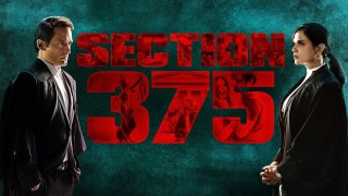 Section 375 2019 Hindi 720p HEVC WEBRip x265 AAC DD 5 1 Esubs