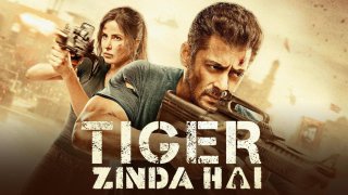 Tiger Zinda Hai 2017 720p 10bit BluRay x265 HEVC Hindi DD 5 1 ESub