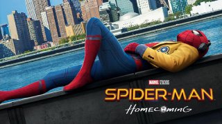 Spider Man Homecoming 2017 1080p 10Bit BluRay x265 HEVC Org Hindi
