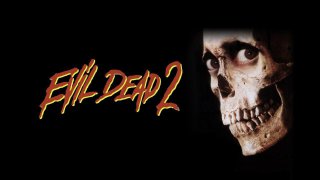 Evil Dead II (1987) Dual Audio {Hind