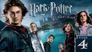 4 Harry Potter and the Goblet of Fire 2005 BluRay Dual Audio Hindi