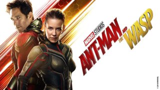 Ant Man And The Wasp 2018 720p 10bit BluRay x265 HEVC Org DSNP Hindi