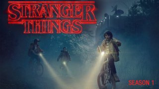 Stranger Things 2016 S01 E05 08 480p HEVC HDRip Dual Audio Hindi